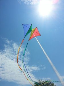 makar sankranti dp