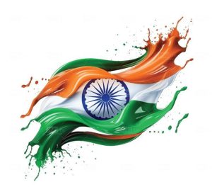 Beautiful Indian Flag DP