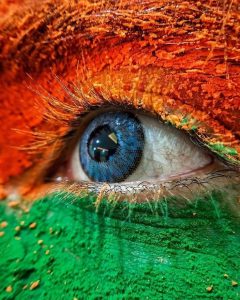 Beautiful Indian Flag DP