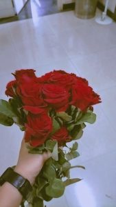 Rose Day Dp