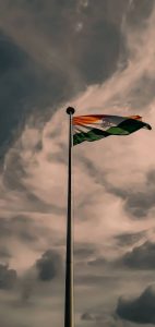 Beautiful Indian Flag DP