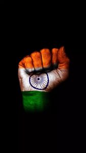 Republic Day DP