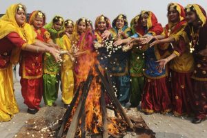 Lohri Dp