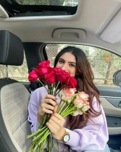 Rose Day Dp