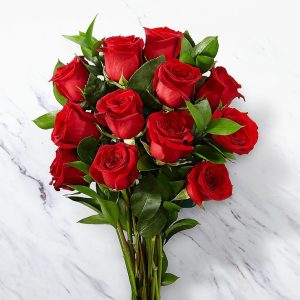 Rose Day Dp