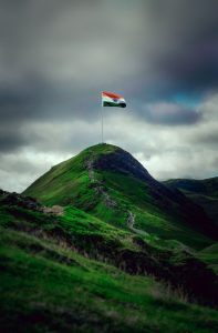 Beautiful Indian Flag DP