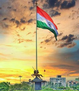 Beautiful Indian Flag DP