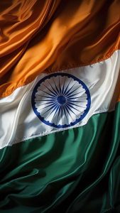 Beautiful Indian Flag DP