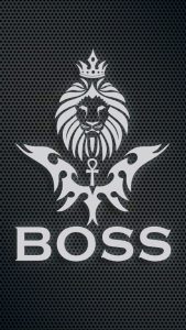 Boss DP