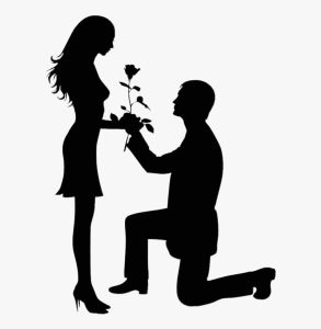 Propose Day DP