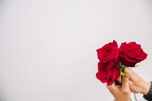 Rose Day Dp