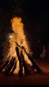 Lohri Dp