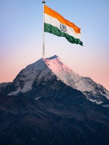 Beautiful Indian Flag DP