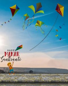 makar sankranti dp