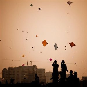 makar sankranti dp