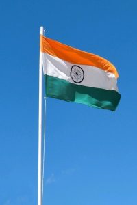 Beautiful Indian Flag DP