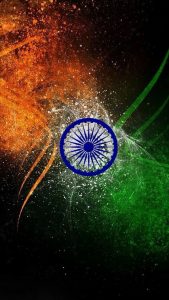 Beautiful Indian Flag DP