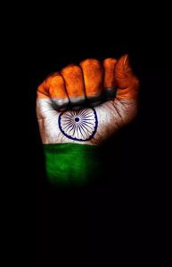 Beautiful Indian Flag DP