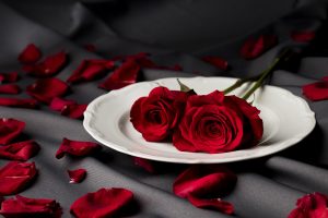 Rose Day Dp